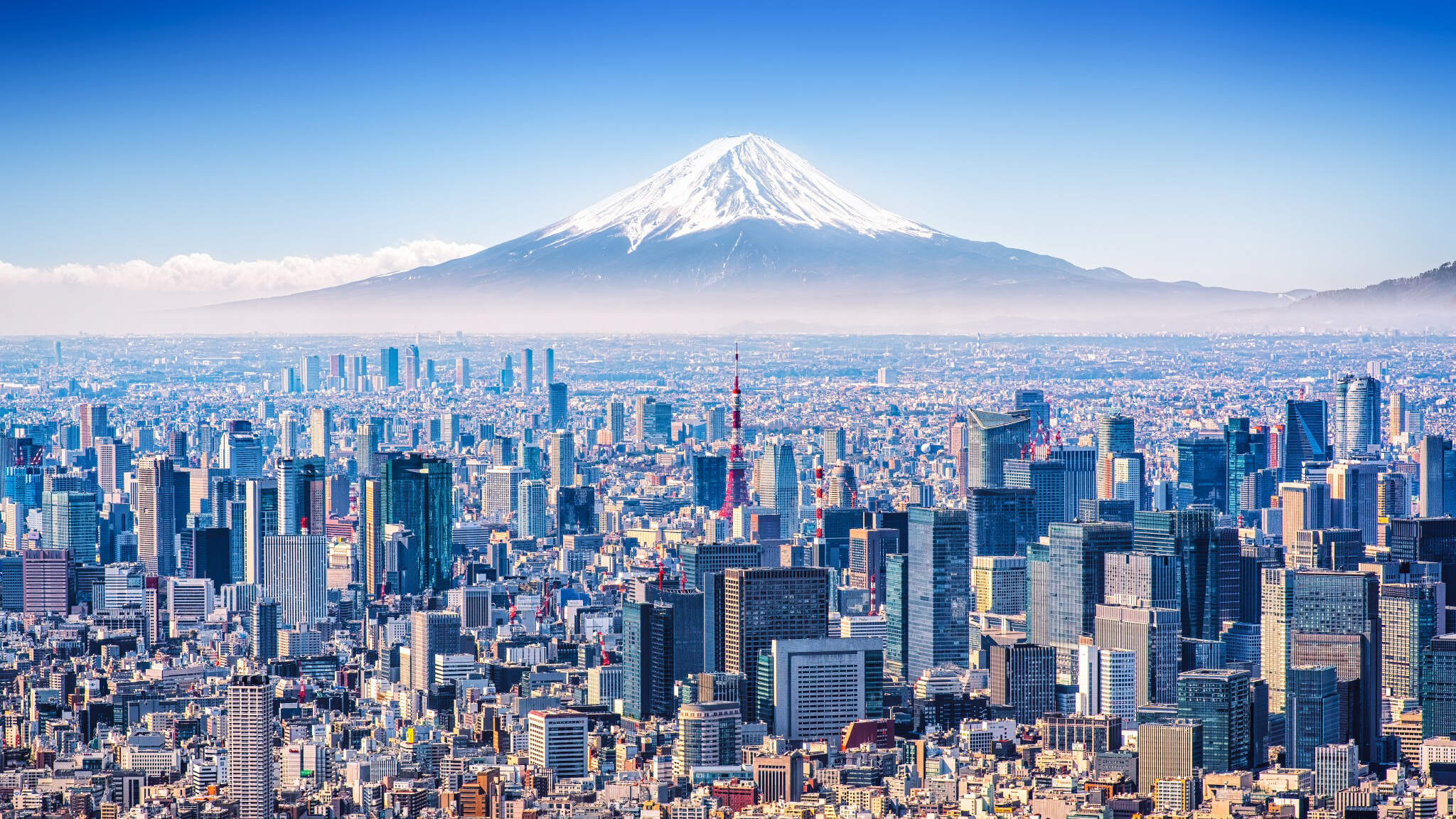 Tokyo, the economic metropolis at the foot of Mount Fuji.